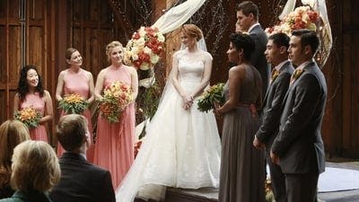 Assistir Grey’s Anatomy Temporada 10 Episódio 12 Online em HD