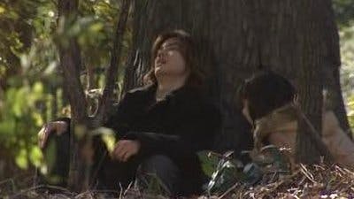 Assistir Kamen Rider Temporada 13 Episódio 5 Online em HD