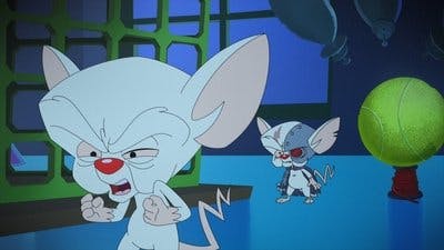 Assistir Animaniacs Temporada 1 Episódio 28 Online em HD