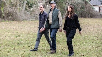 Assistir NCIS: Nova Orleans Temporada 5 Episódio 17 Online em HD