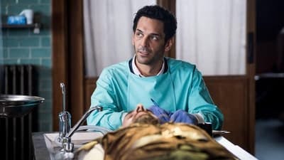 Assistir Balthazar Temporada 2 Episódio 8 Online em HD