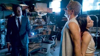 Assistir Arquivo X Temporada 11 Episódio 9 Online em HD