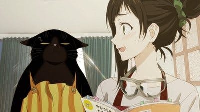 Assistir O Gato Prendado está Deprimido Hoje de Novo Temporada 1 Episódio 3 Online em HD