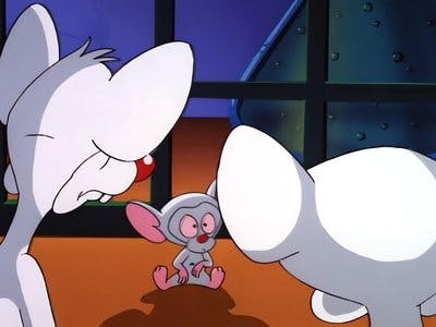 Assistir Pinky e o Cérebro Temporada 2 Episódio 15 Online em HD