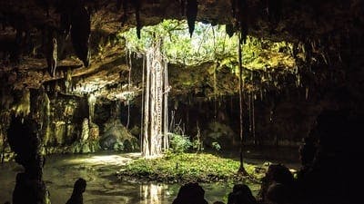 Assistir Mexico: Earth’s Festival of Life Temporada 1 Episódio 2 Online em HD