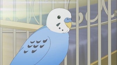 Assistir Chuubyou Gekihatsu Boy Temporada 1 Episódio 2 Online em HD