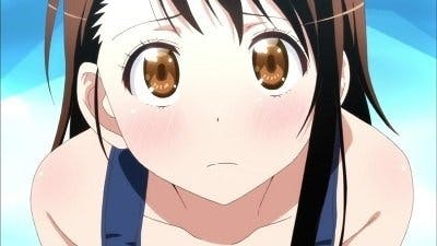 Assistir Nisekoi Temporada 1 Episódio 5 Online em HD