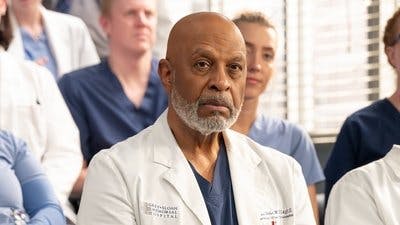 Assistir Anatomia de Grey Temporada 21 Episódio 14 Online em HD