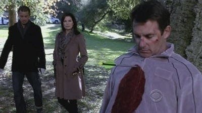 Assistir CSI: Nova York Temporada 8 Episódio 13 Online em HD