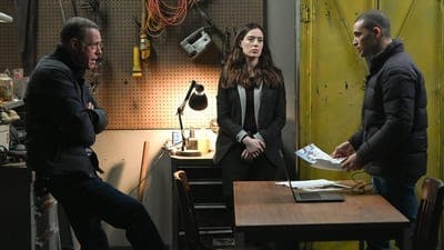 Assistir Chicago P.D.: Distrito 21 Temporada 11 Episódio 9 Online em HD