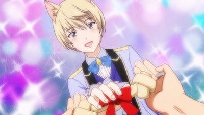 Assistir Uchi Tama?! Uchi no Tama Shirimasen ka? Temporada 1 Episódio 19 Online em HD