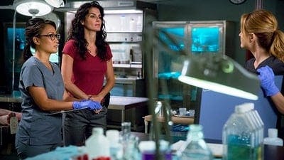 Assistir Rizzoli & Isles Temporada 5 Episódio 18 Online em HD