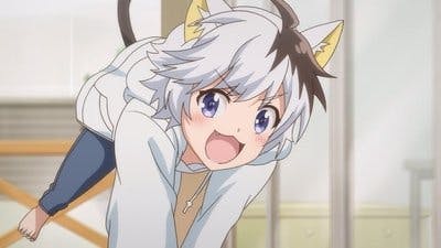 Assistir Uchi Tama?! Uchi no Tama Shirimasen ka? Temporada 1 Episódio 17 Online em HD