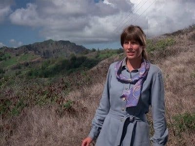 Assistir Havaí Cinco-0 Temporada 8 Episódio 20 Online em HD