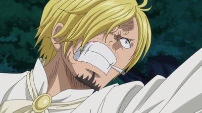 Assistir One Piece Temporada 19 Episódio 848 Online em HD