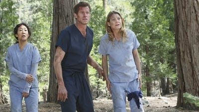 Assistir Grey’s Anatomy Temporada 8 Episódio 24 Online em HD