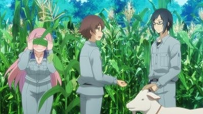 Assistir Nourin Temporada 1 Episódio 8 Online em HD