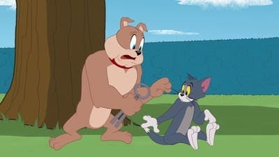 Assistir O Show de Tom e Jerry Temporada 2 Episódio 1 Online em HD