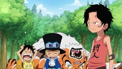 Assistir One Piece Temporada 13 Episódio 499 Online em HD