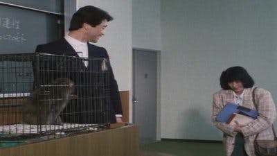 Assistir Kamen Rider Temporada 8 Episódio 24 Online em HD