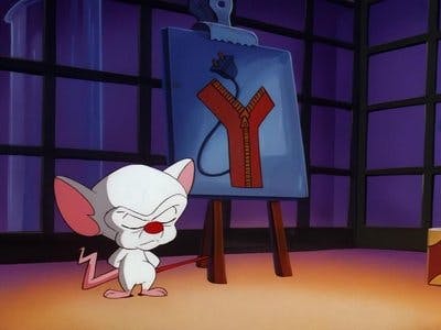 Assistir Pinky e o Cérebro Temporada 4 Episódio 6 Online em HD