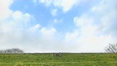 Assistir Kamen Rider Temporada 13 Episódio 50 Online em HD