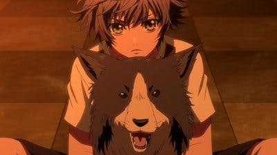 Assistir Hakkenden: Eight Dogs of the East Temporada 1 Episódio 7 Online em HD