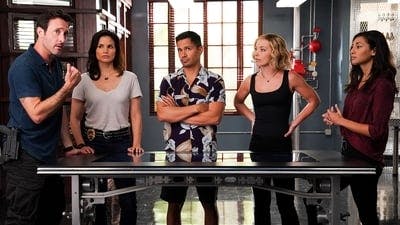 Assistir Havaí Cinco-0 Temporada 10 Episódio 12 Online em HD