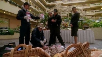 Assistir NCIS: Investigação Naval Temporada 4 Episódio 8 Online em HD