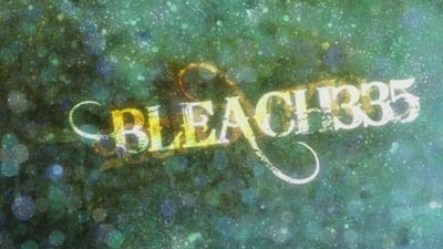 Assistir Bleach Temporada 1 Episódio 335 Online em HD