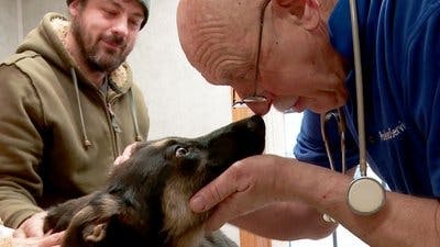 Assistir Clínica Animal com Dr. Pol Temporada 10 Episódio 6 Online em HD