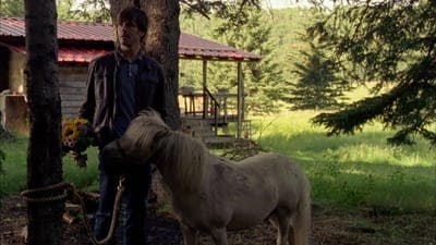 Assistir Heartland Temporada 5 Episódio 8 Online em HD