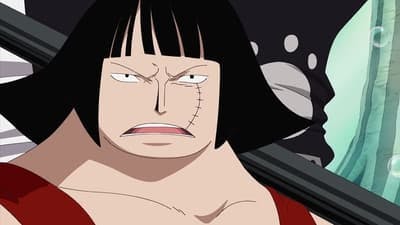 Assistir One Piece Temporada 11 Episódio 403 Online em HD