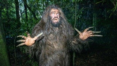 Assistir Wellington Paranormal Temporada 3 Episódio 2 Online em HD