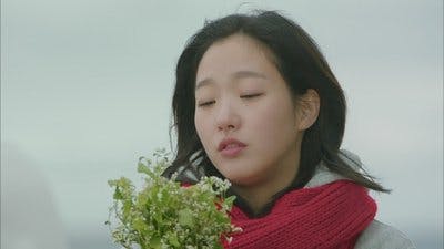 Assistir Goblin Temporada 1 Episódio 1 Online em HD
