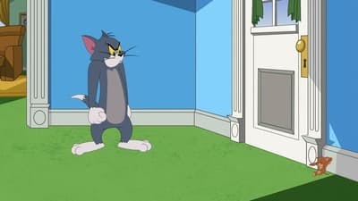 Assistir O Show de Tom e Jerry Temporada 2 Episódio 3 Online em HD