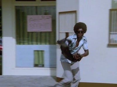 Assistir Havaí Cinco-0 Temporada 12 Episódio 3 Online em HD