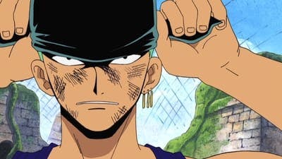 Assistir One Piece Temporada 6 Episódio 178 Online em HD