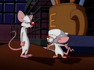 Assistir Pinky e o Cérebro Temporada 3 Episódio 39 Online em HD