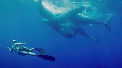 Assistir Bem-vindos à Terra Temporada 1 Episódio 1 Online em HD