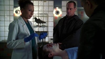 Assistir Lei & Ordem: Unidade de Vítimas Especiais Temporada 8 Episódio 17 Online em HD