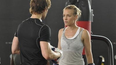 Assistir Covert Affairs: Assuntos Confidenciais Temporada 3 Episódio 10 Online em HD