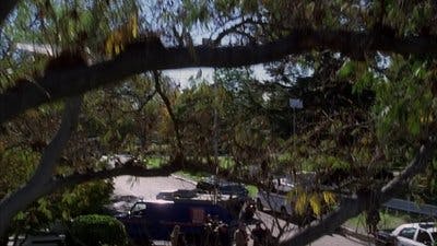 Assistir Mentes Criminosas Temporada 1 Episódio 12 Online em HD