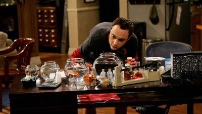 Assistir Big Bang: A Teoria Temporada 1 Episódio 4 Online em HD