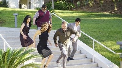 Assistir Scorpion: Serviço de Inteligência Temporada 2 Episódio 14 Online em HD