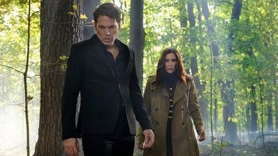 Assistir SurrealEstate Temporada 3 Episódio 5 Online em HD