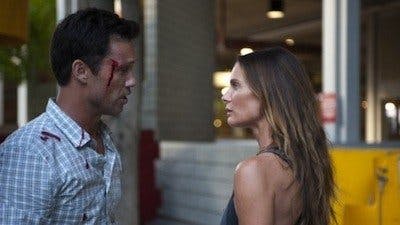 Assistir Burn Notice: Operação Miami Temporada 3 Episódio 16 Online em HD