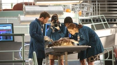 Assistir Bones Temporada 9 Episódio 6 Online em HD