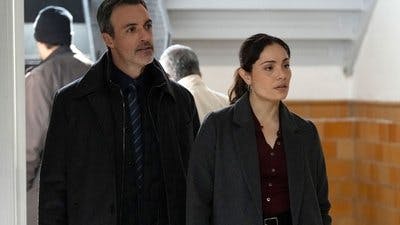 Assistir Lei & Ordem Temporada 24 Episódio 19 Online em HD