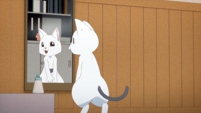 Assistir Ramen Akaneko Temporada 1 Episódio 10 Online em HD